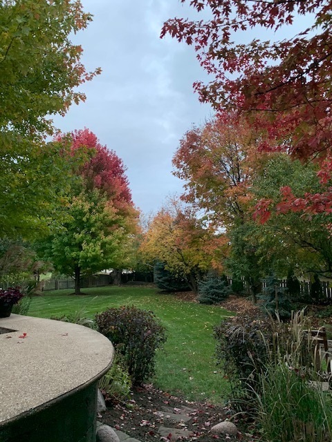 Plainfield, IL 60585