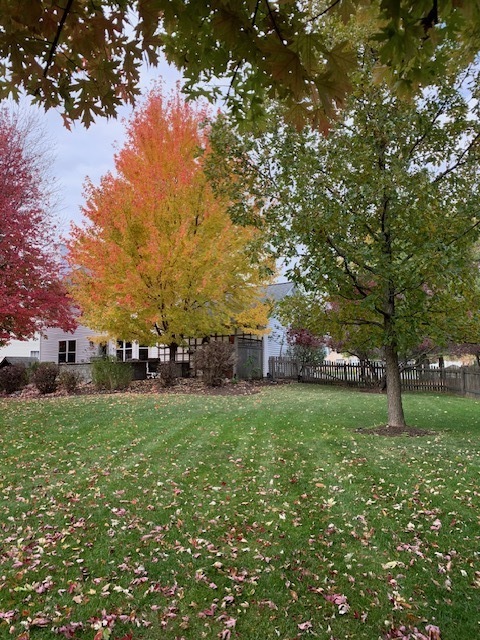 Plainfield, IL 60585