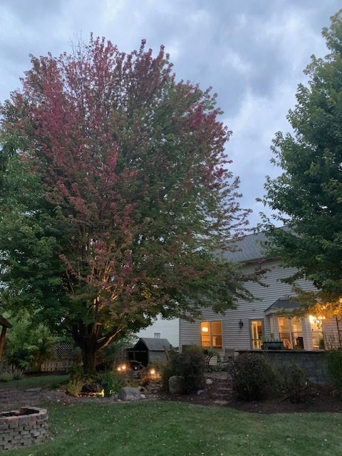 Plainfield, IL 60585