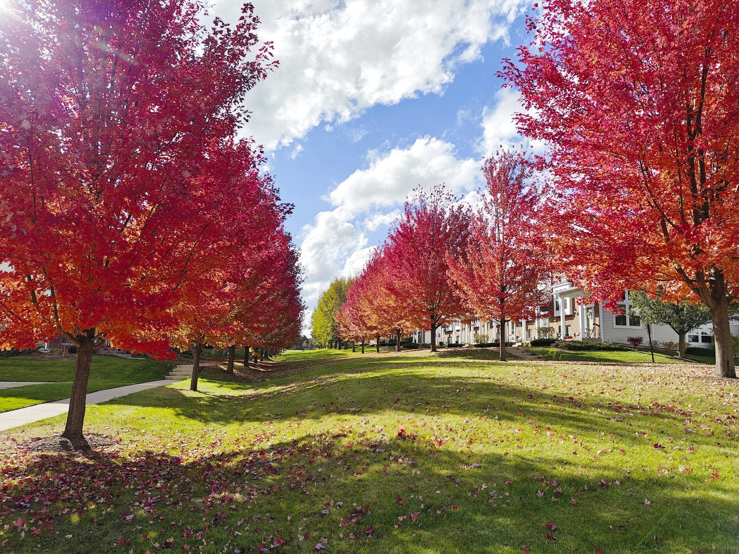 1204 Neubauer Circle #1304, Lindenhurst, IL 60046