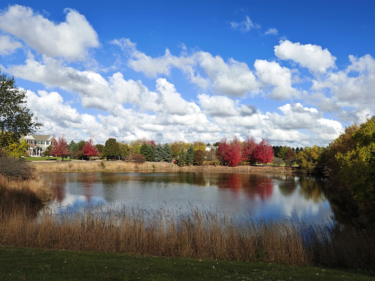 1204 Neubauer Circle #1304, Lindenhurst, IL 60046