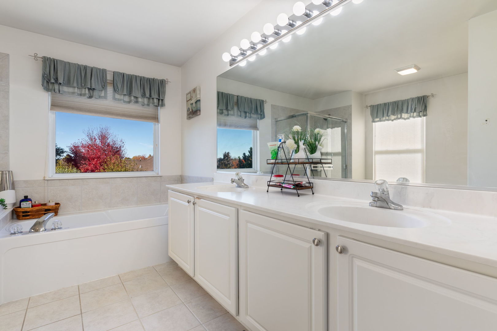 9 Lake Plumleigh Court, Algonquin, IL 60102