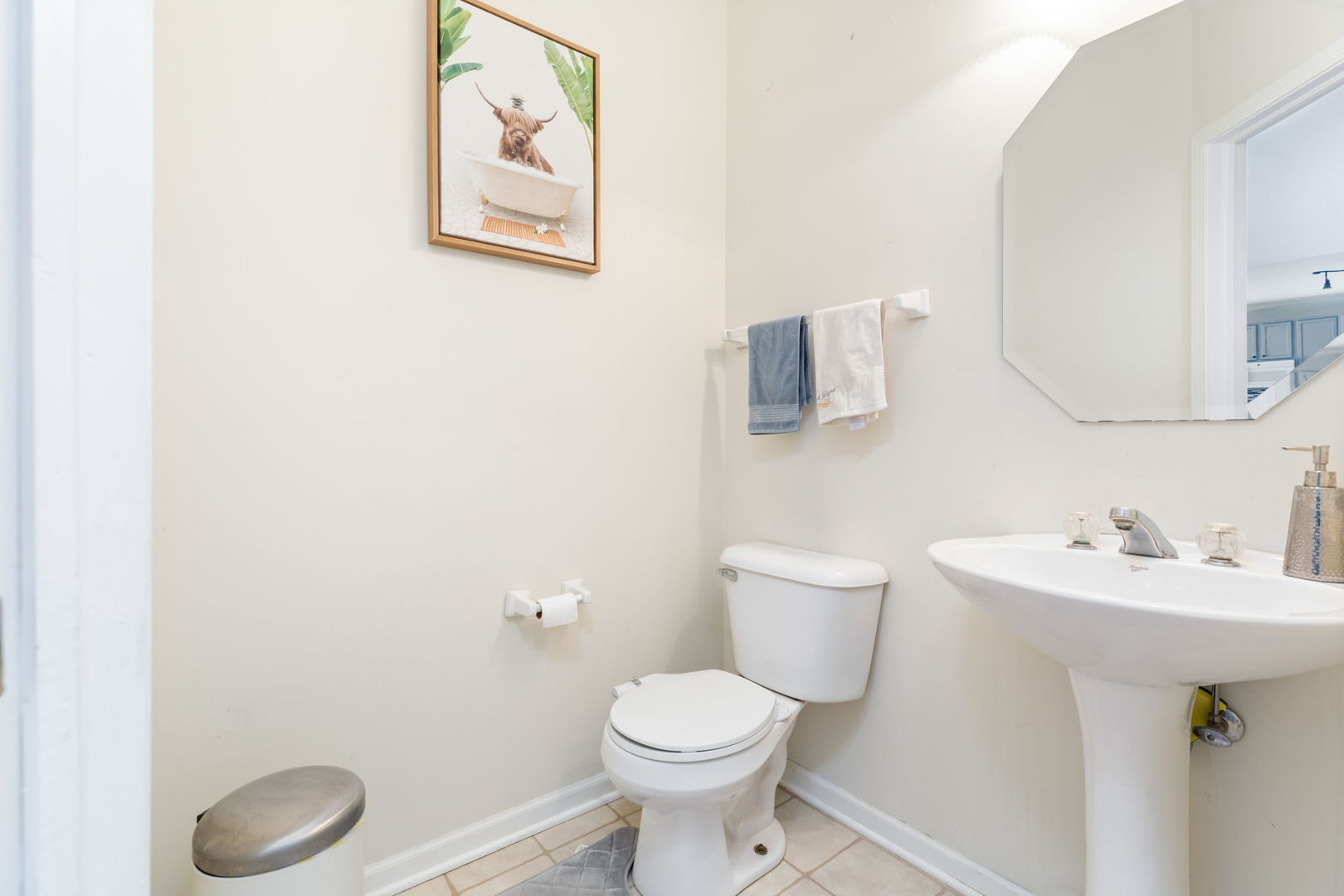 9 Lake Plumleigh Court, Algonquin, IL 60102