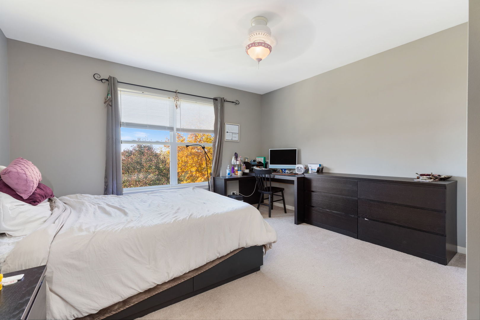 9 Lake Plumleigh Court, Algonquin, IL 60102