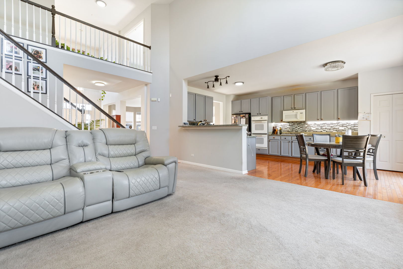 9 Lake Plumleigh Court, Algonquin, IL 60102