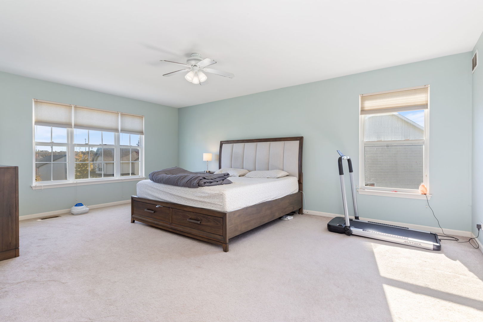 9 Lake Plumleigh Court, Algonquin, IL 60102