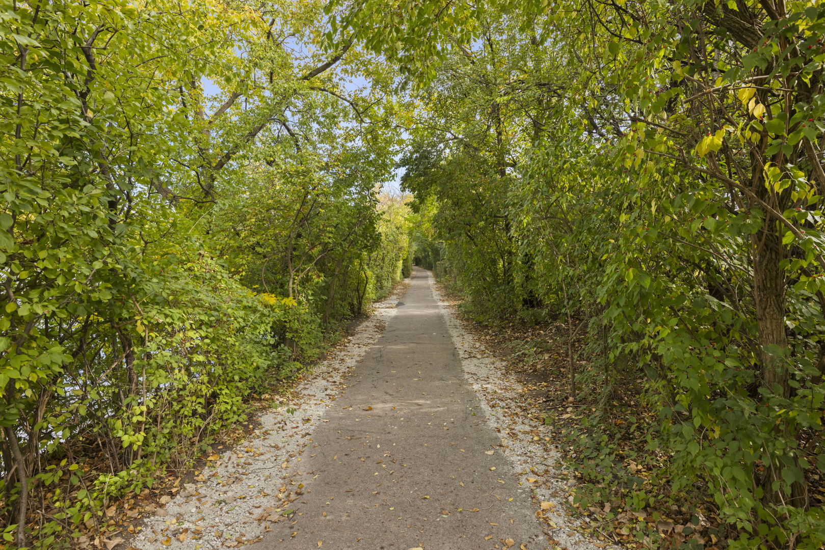 6008 LAKE Drive #1A, Lisle, IL 60532