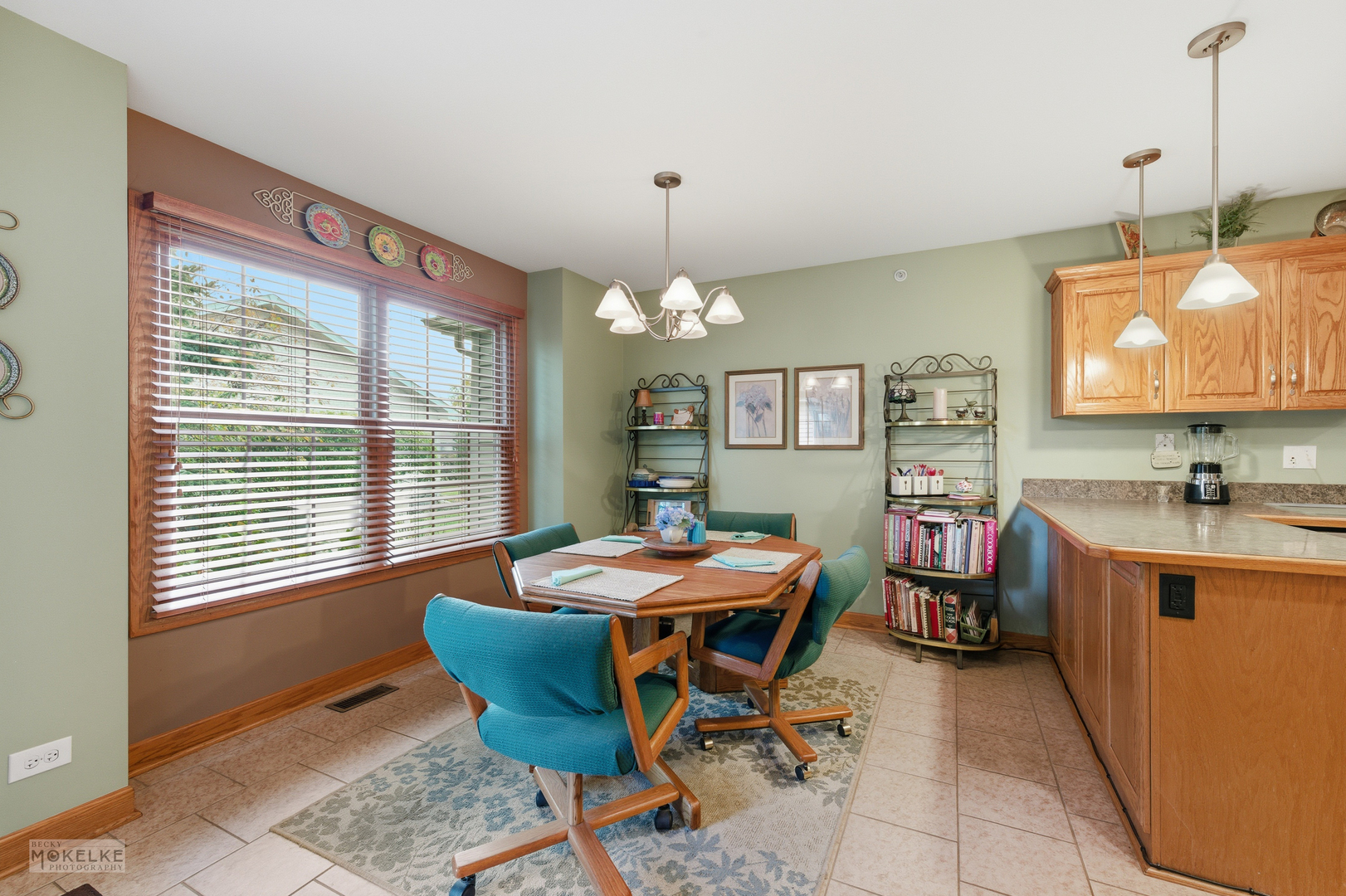 1408 Cannonball Trail, Yorkville, IL 60560