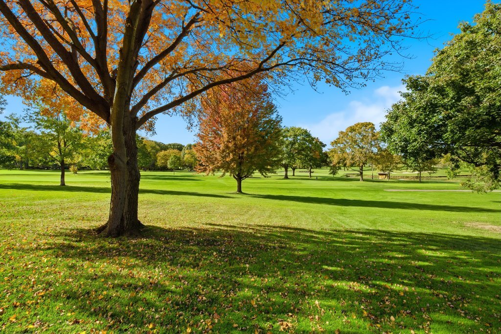 90 Golfview Lane #D, Frankfort, IL 60423