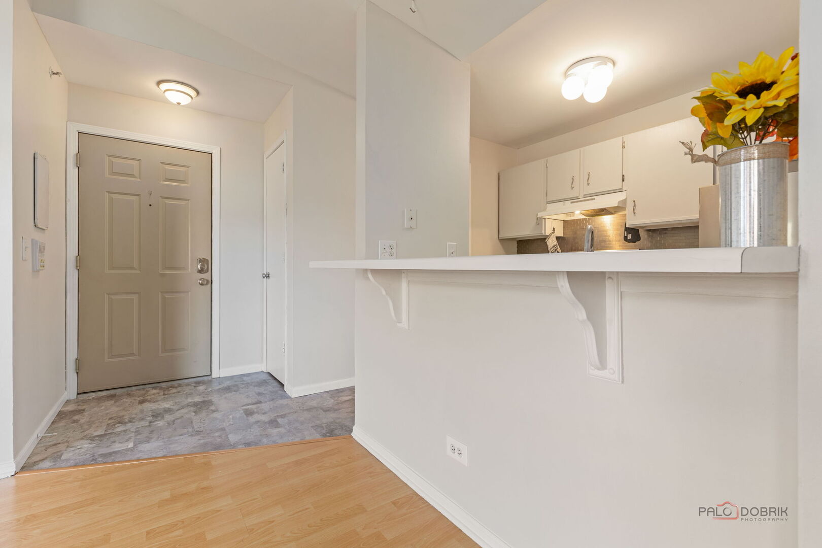 1506 Springbrook Court #2C, Round Lake Beach, IL 60073