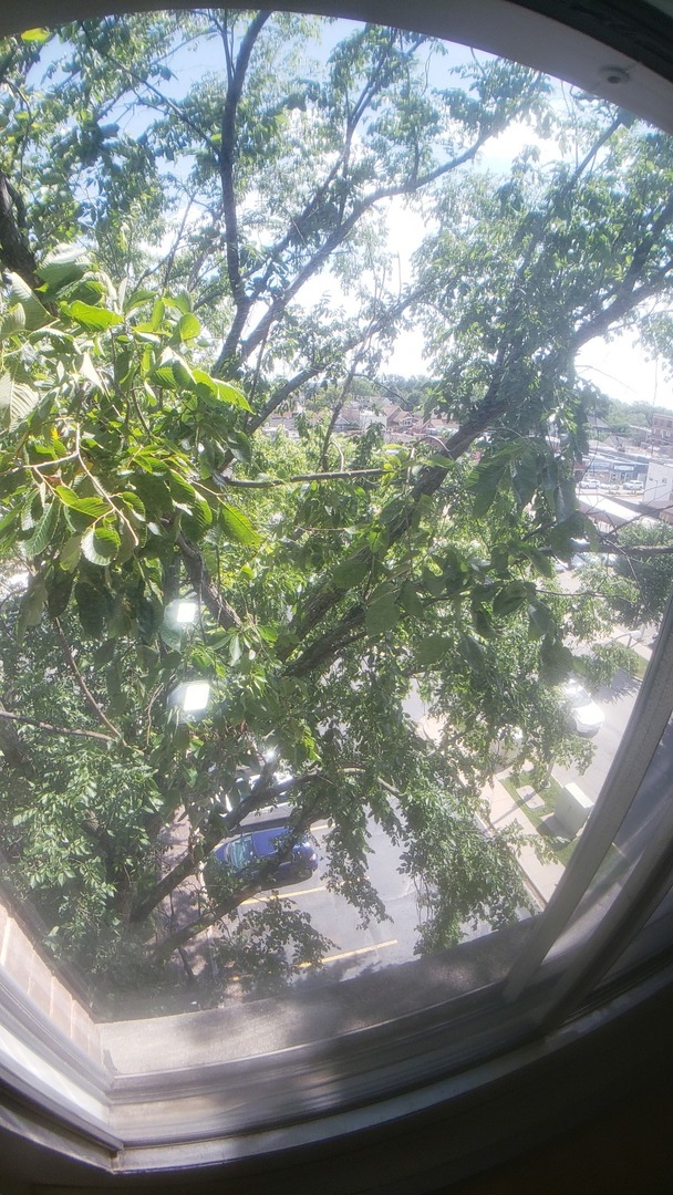 336 Lathrop Avenue #306, Forest Park, IL 60130