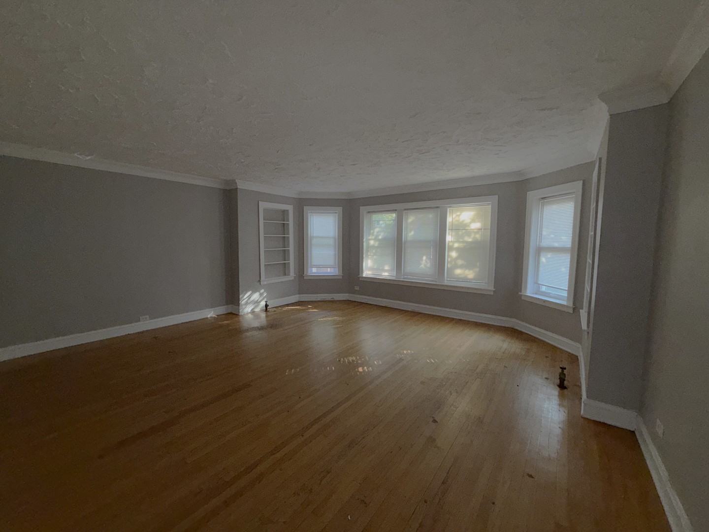 7816 S Phillips Avenue, Chicago, IL 60649