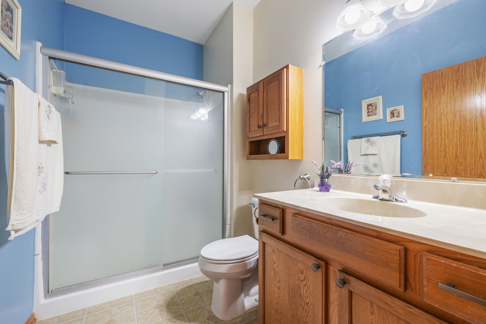 19242 104th Avenue, Mokena, IL 60448