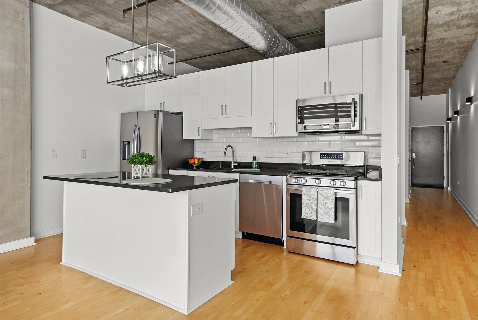 50 E 16th Street #411, Chicago, IL 60616