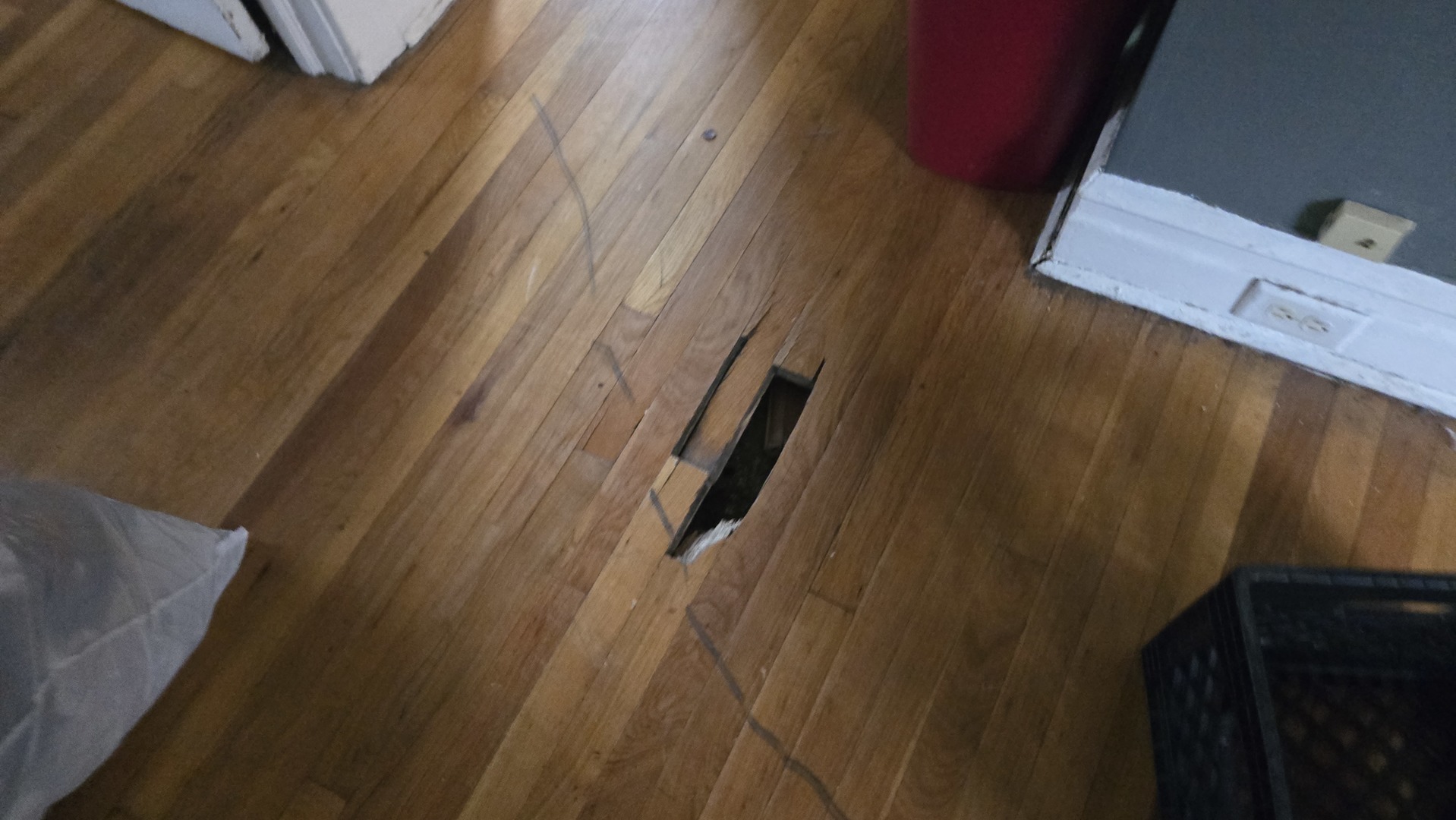 7430 S Luella Avenue, Chicago, IL 60649