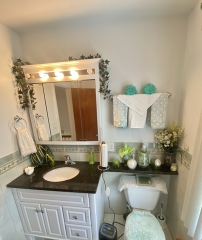 9129 S Carpenter Street, Chicago, IL 60620