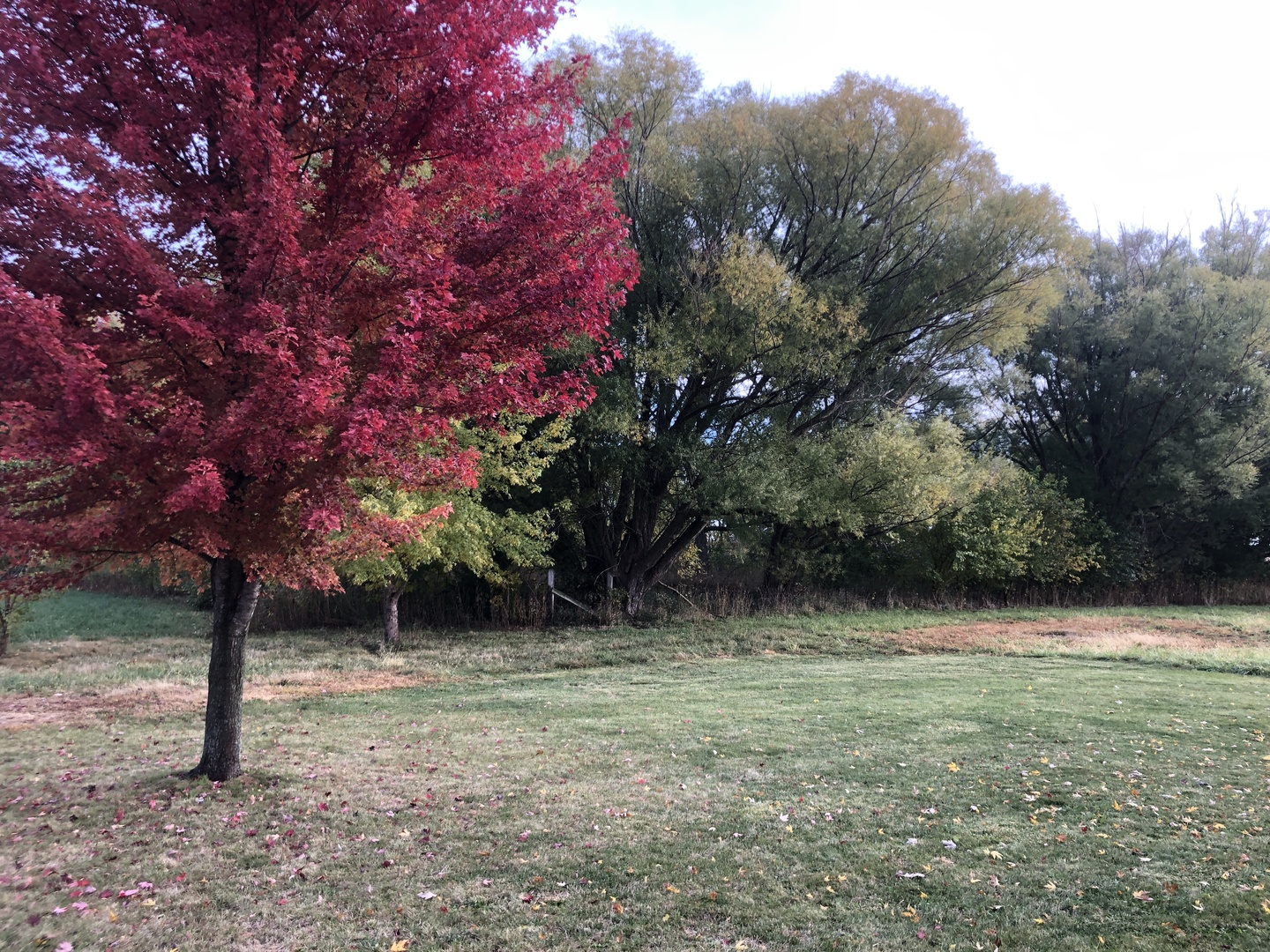 101 E Third Street, Dewitt, IL 61735