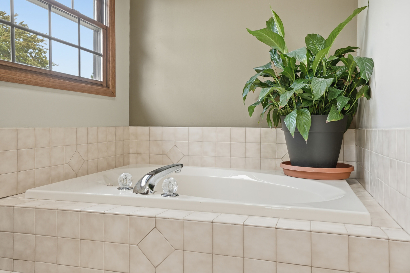 18328 Country Lane, Lansing, IL 60438