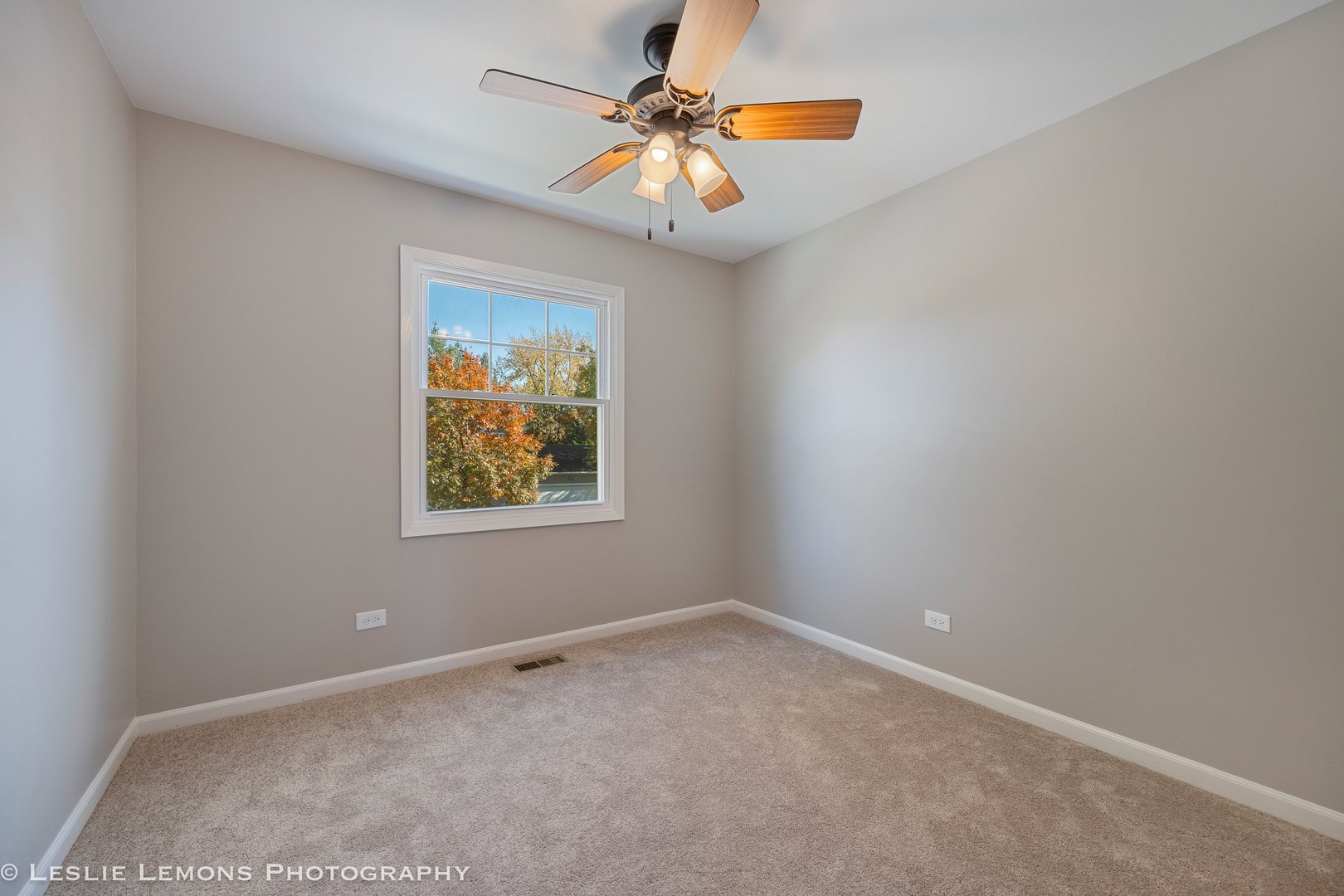 1308 Auburn Avenue, Naperville, IL 60565