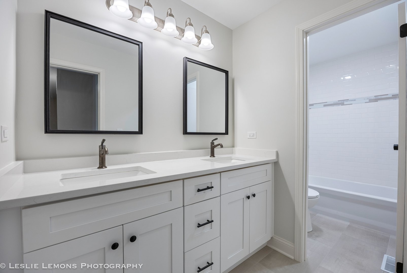 1308 Auburn Avenue, Naperville, IL 60565