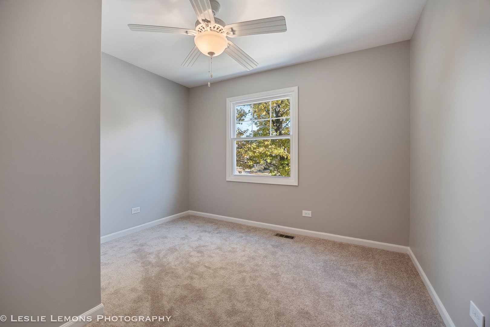 1308 Auburn Avenue, Naperville, IL 60565