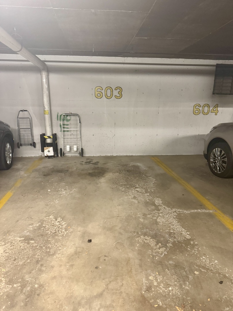 100 Lake Boulevard #603, Buffalo Grove, IL 60089