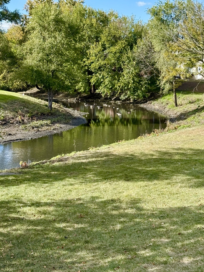 10420 Circle Drive #25B, Oak Lawn, IL 60453