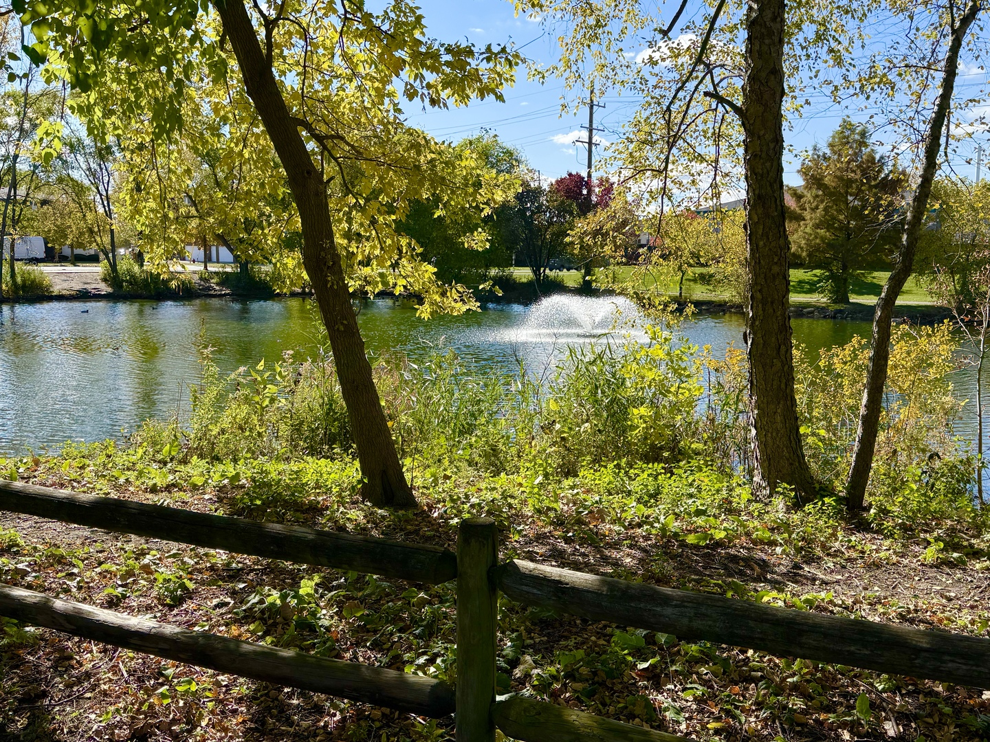 10420 Circle Drive #25B, Oak Lawn, IL 60453