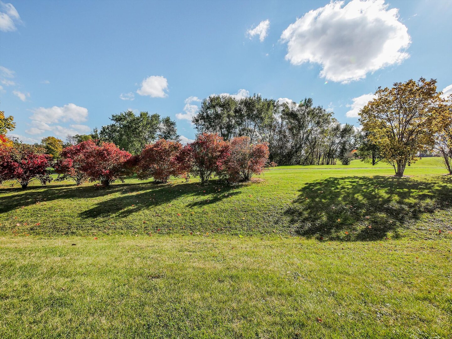 324 English Oak Lane, Streamwood, IL 60107