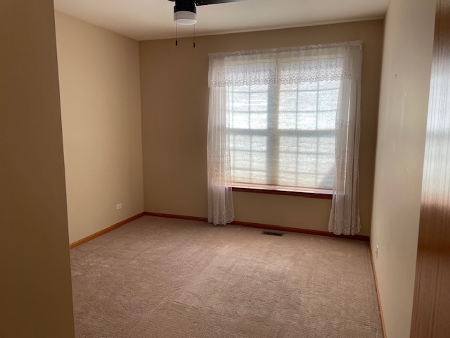 296 W Prairie Walk Lane, Round Lake, IL 60073