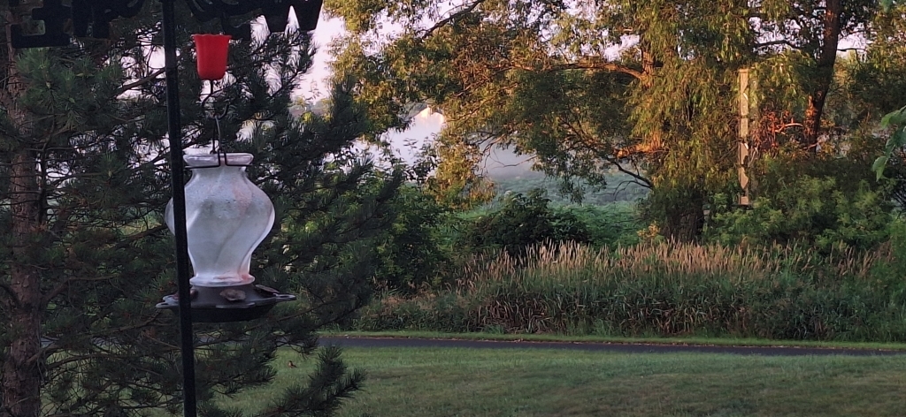 12255 Wildflower Lane, Huntley, IL 60142