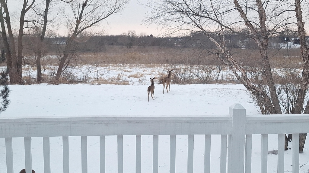 12255 Wildflower Lane, Huntley, IL 60142