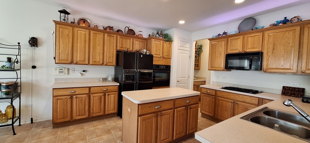 12255 Wildflower Lane, Huntley, IL 60142