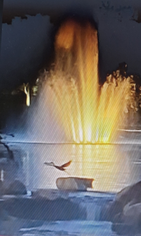 12255 Wildflower Lane, Huntley, IL 60142