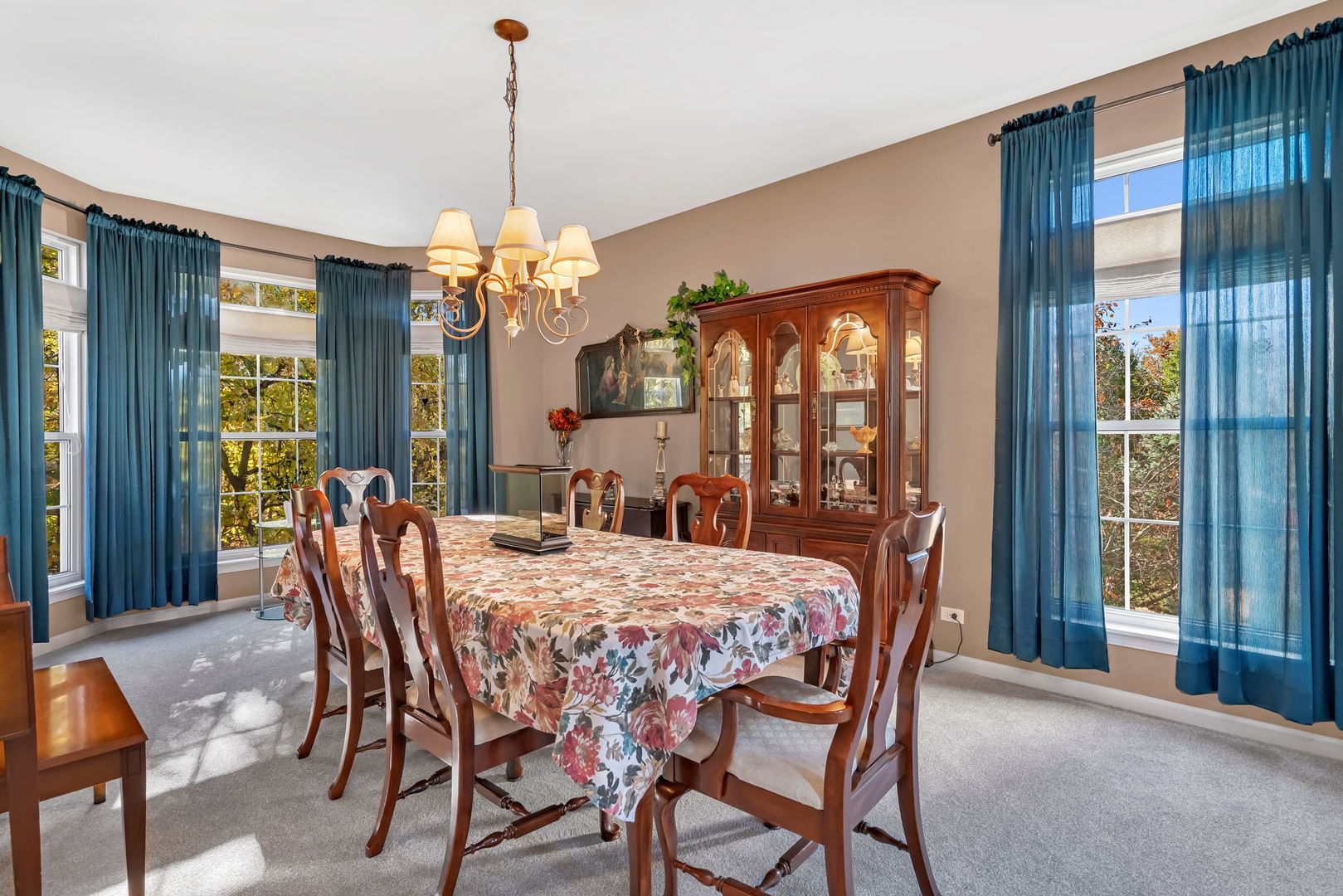 26305 W Ravine Woods Drive, Channahon, IL 60410