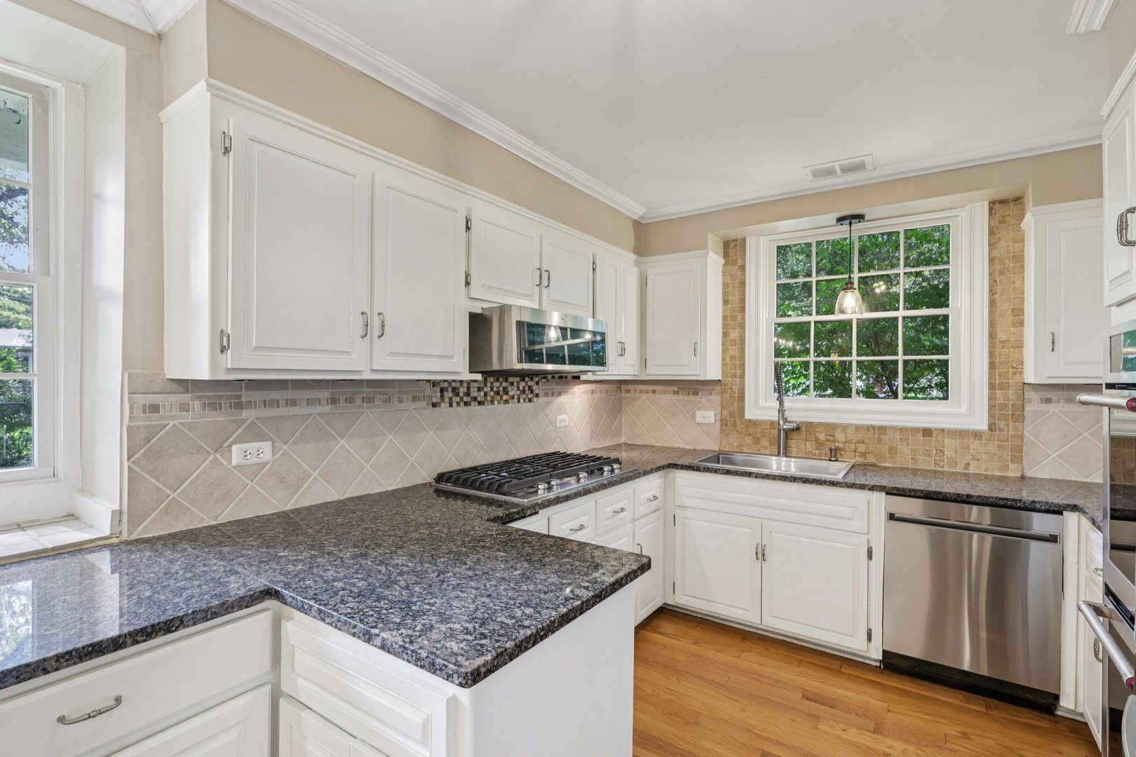 6619 Palma Lane, Morton Grove, IL 60053