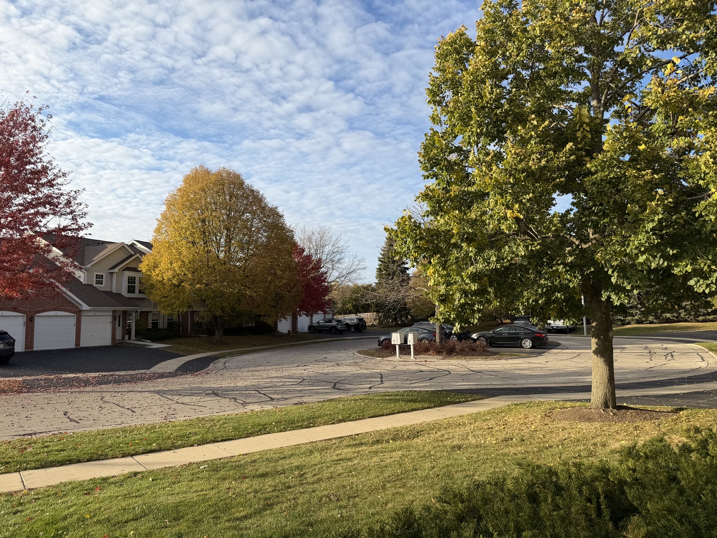 311 Sheffield Court #1, Roselle, IL 60172