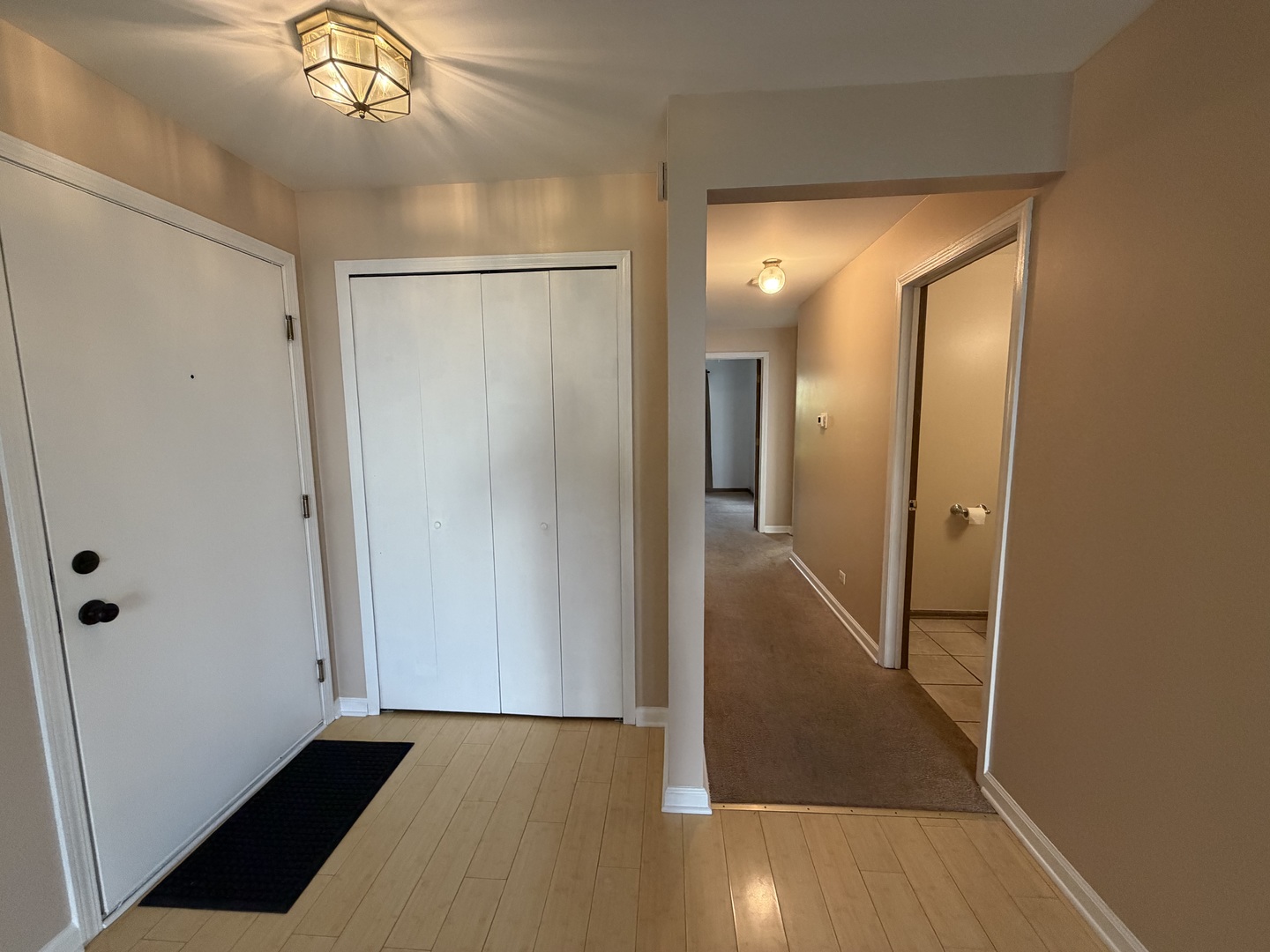 311 Sheffield Court #1, Roselle, IL 60172