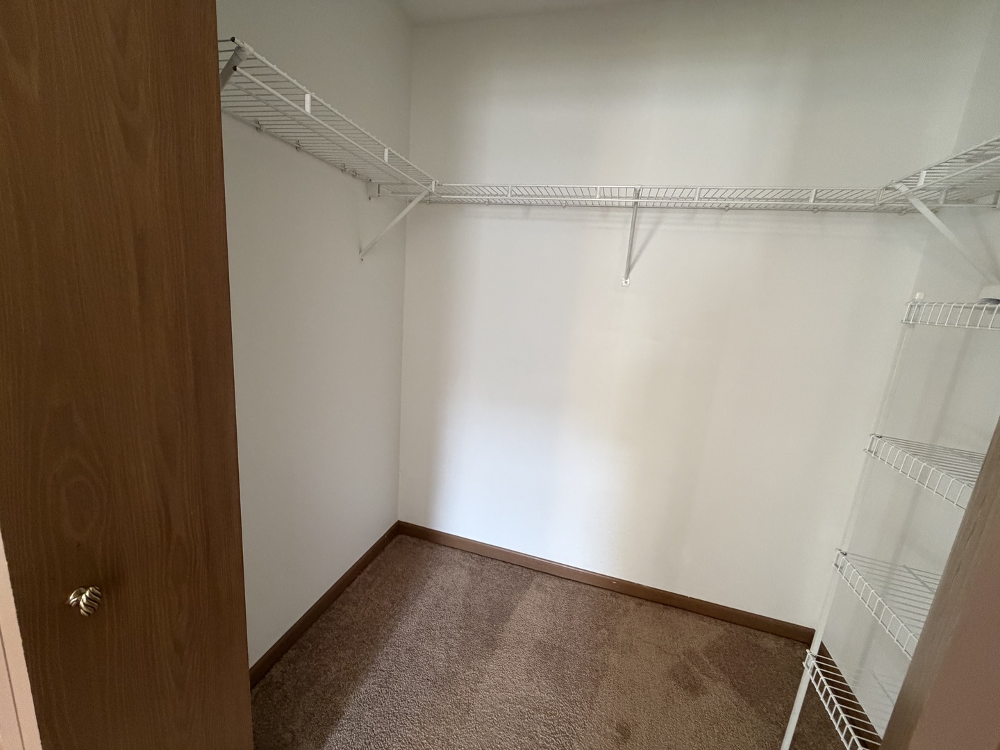 311 Sheffield Court #1, Roselle, IL 60172