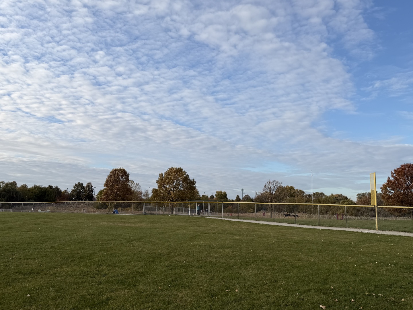 311 Sheffield Court #1, Roselle, IL 60172