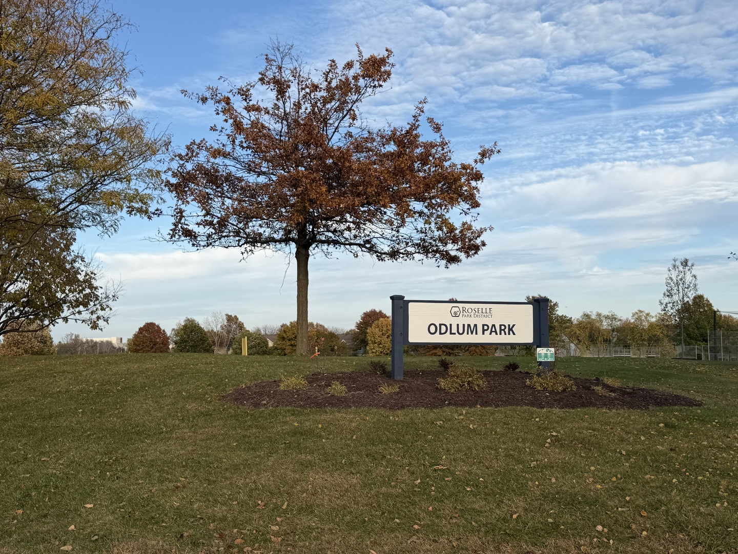 311 Sheffield Court #1, Roselle, IL 60172