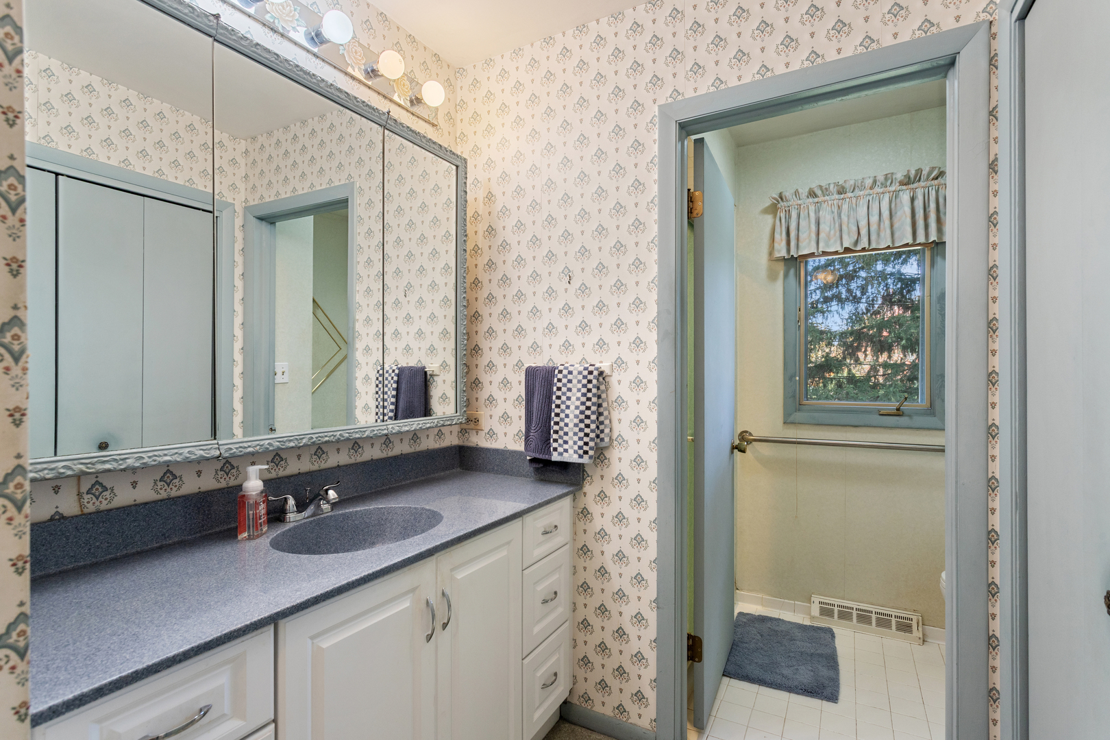 23W134 Mulberry Lane, Glen Ellyn, IL 60137