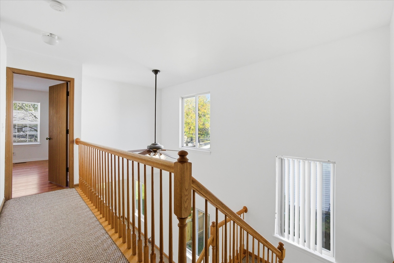 22206 W Niagara Trail, Plainfield, IL 60544