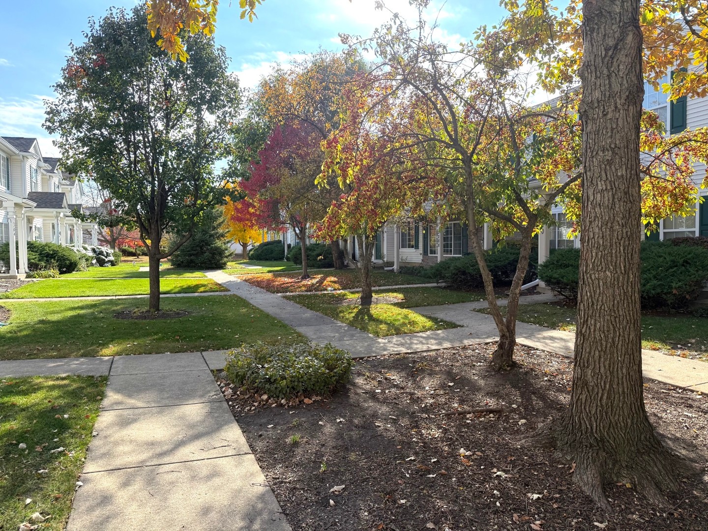 2298 Reflections Drive, Aurora, IL 60502