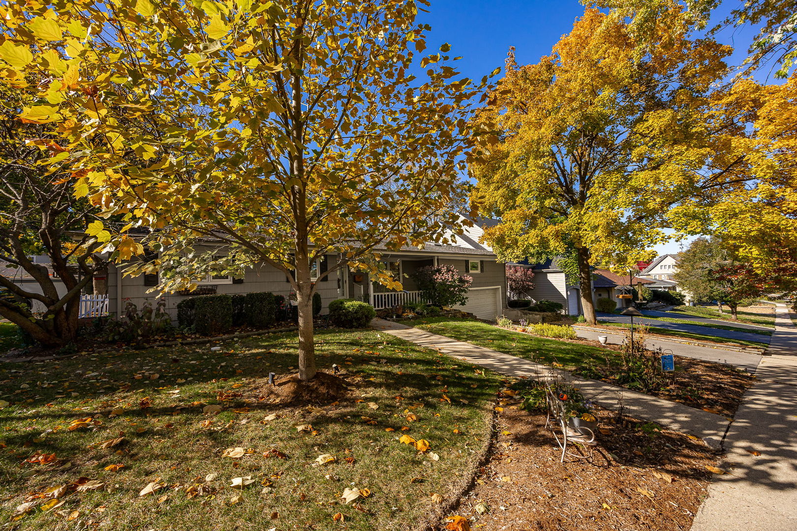 5252 Fairmount Avenue, Downers Grove, IL 60515