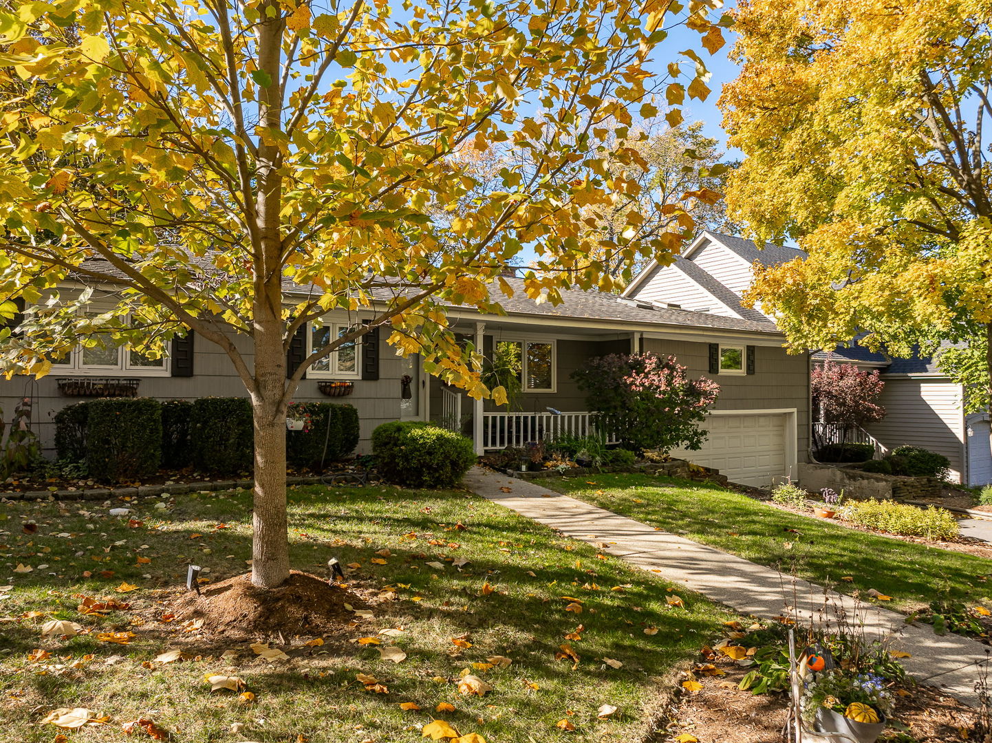 5252 Fairmount Avenue, Downers Grove, IL 60515