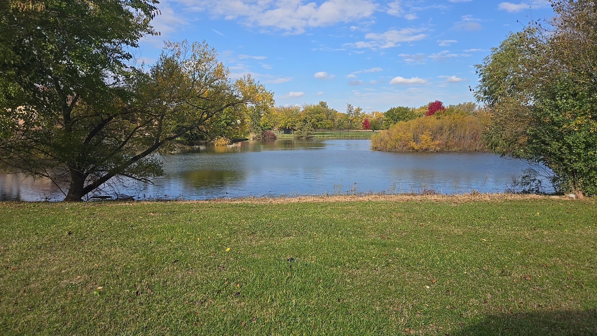 3907 Troon Street, Flossmoor, IL 60422