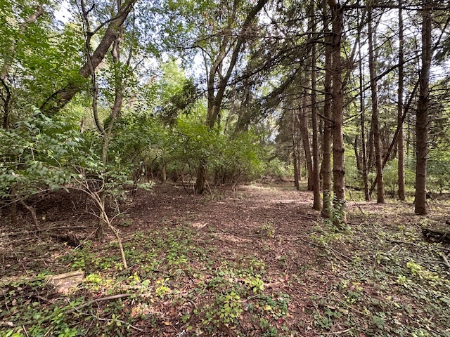 34531 S Lakeside Terrace, Wilmington, IL 60481