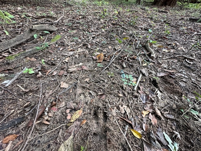 34531 S Lakeside Terrace, Wilmington, IL 60481