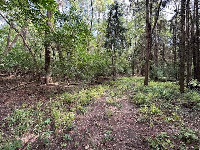 34531 S Lakeside Terrace, Wilmington, IL 60481